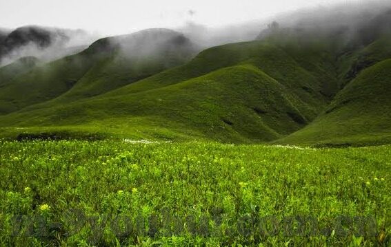 足足球比分直播500-足球比分直播500，实时掌握赛场风云的利器